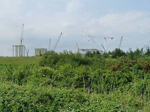 slideshow Picture of wetlands with construction in the background.