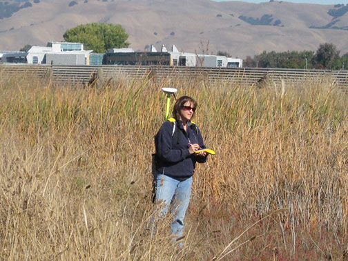 slideshow Picture of Kathy Kinsland using a GPS system to map an area.