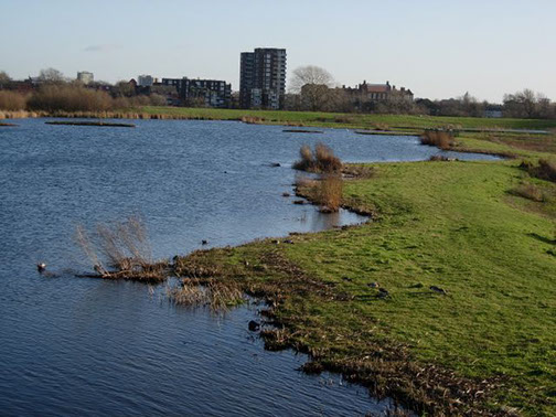 slideshow Picture of a pond with development in the background.