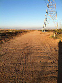 Picture of a flock of Mallard ducks in fight over the Yolo basin with the Sacramento, California skyline in the background.