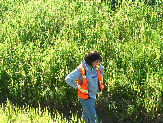 Picture of Kathy in the field working on a project that Argonaut Ecological was involed in.